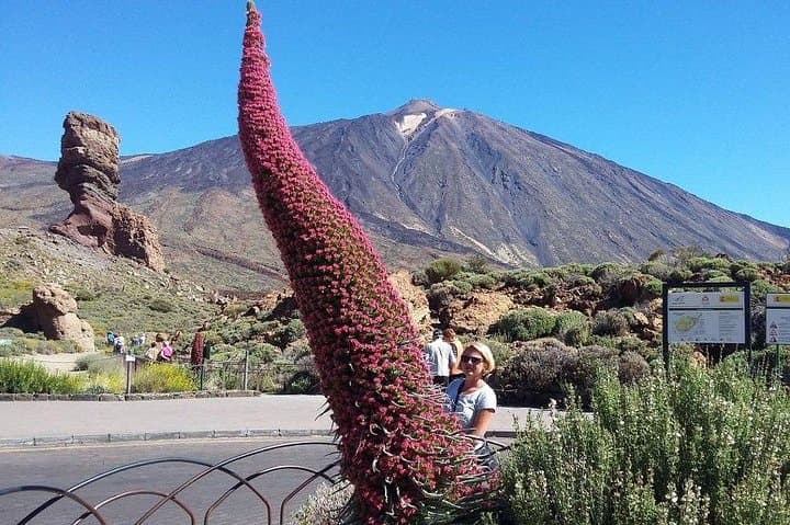 Tajinaste - endemic plant of Teide