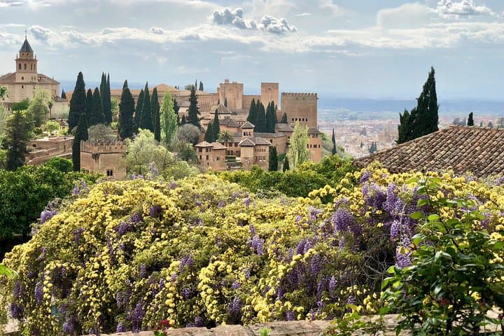 Alhambra Private Tour from Almeria: with transport and skip-the-line-tickets