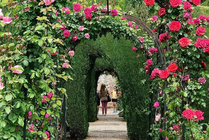 Alhambra Private Tour from Almeria: with transport and skip-the-line-tickets