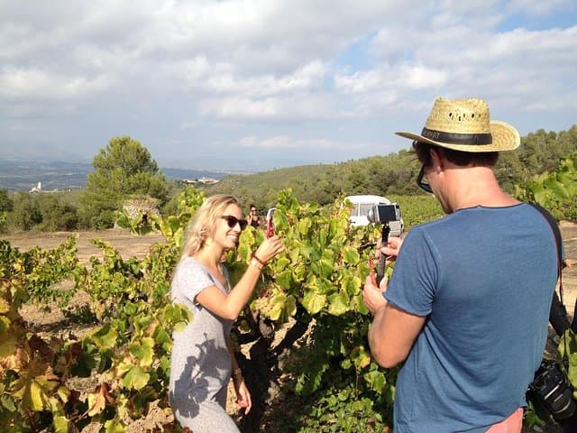 Montserrat & Penedes Winery Private Day Trip with Cava Tasting