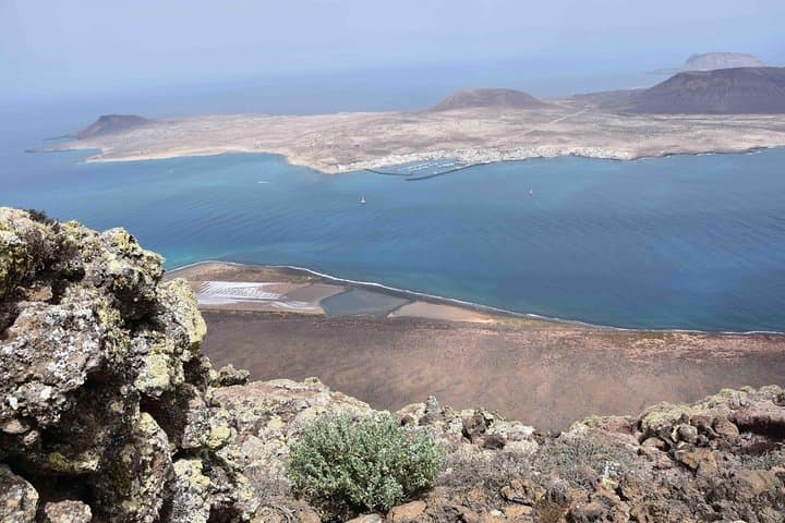 Lanzarote César Manrique Tour: with Jameos or Green Cave