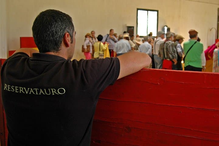 Andalucia Bull and Horse Farm and Ronda Private Tour from Malaga