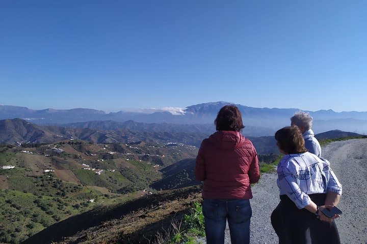 Axarquia VIP Wine Tour with Gourmet Winery Lunch Experience