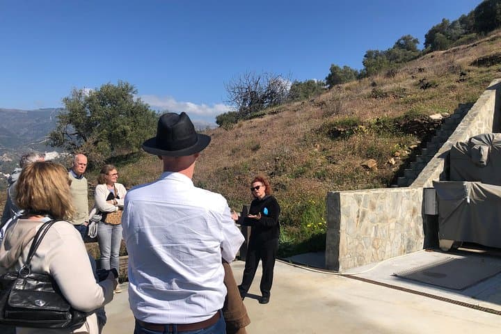 Axarquia VIP Wine Tour with Gourmet Winery Lunch Experience