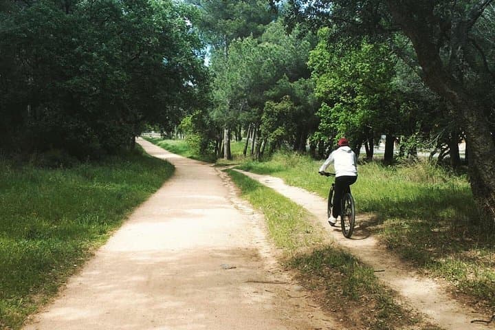 Bicycle rental