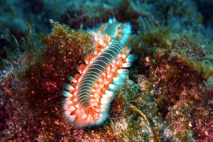Discover Scuba Diving - Try it for the first time!