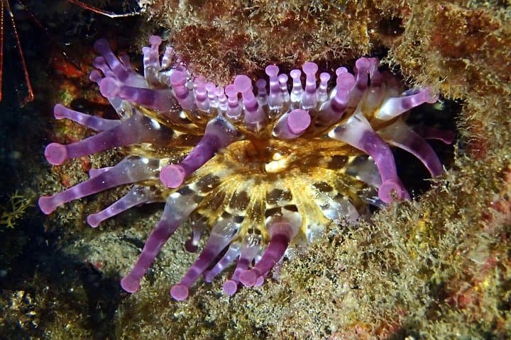 Discover Scuba Diving - Try it for the first time!