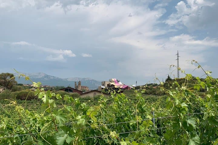 Rioja Alavesa Wineries and Medieval Villages Day Trip