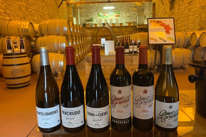 Rioja Alavesa Wineries and Medieval Villages Day Trip