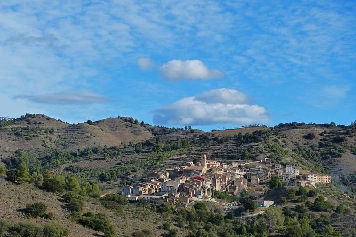 Tarragona Ruins & Priorat 1 day - Reduced group hotel pick up from Barcelona