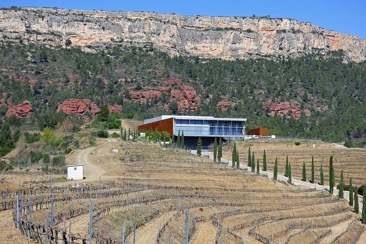 Tarragona Ruins & Priorat 1 day - Reduced group hotel pick up from Barcelona