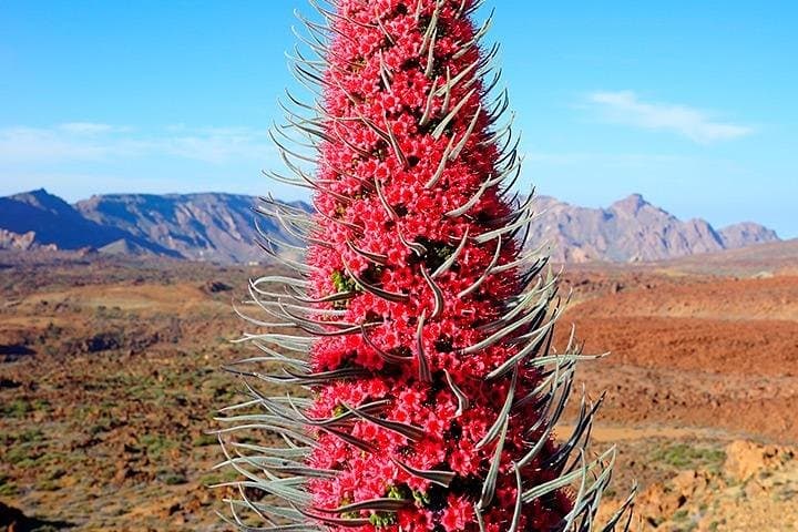 Teide National Park