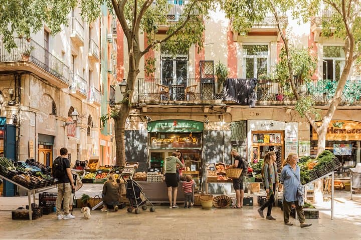 Barcelona Private Custom Tour with a Local, Icons & Hidden Gems