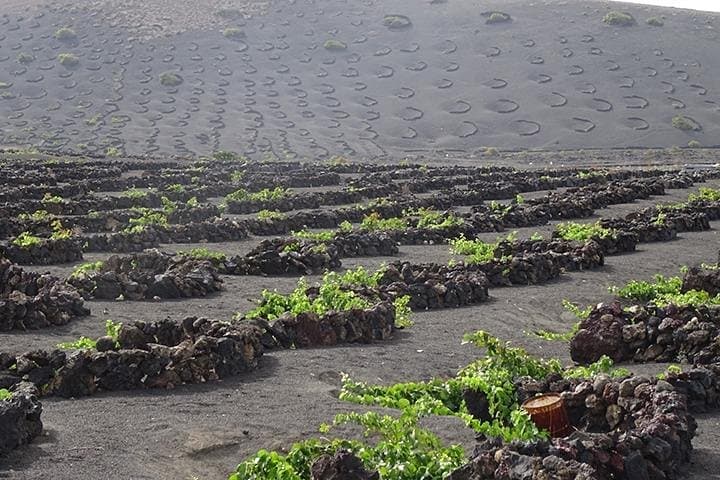 Lanzarote Highlights. Private Tour with Pickup (price per vehicle, not p.p.)