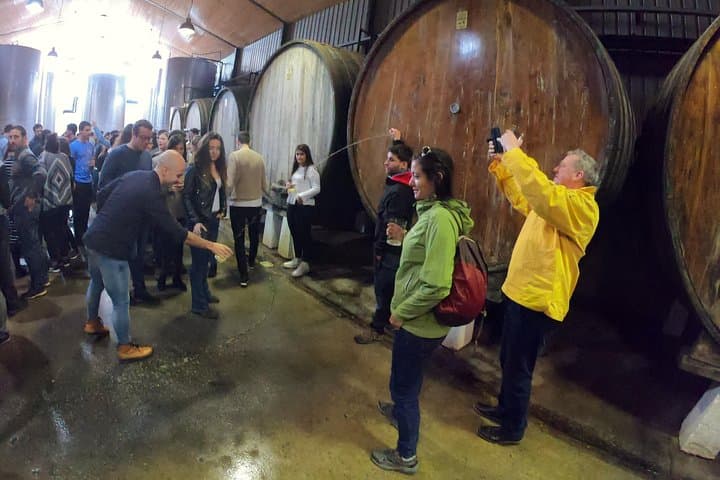 Live in the cider house, the tradition of the txotx.