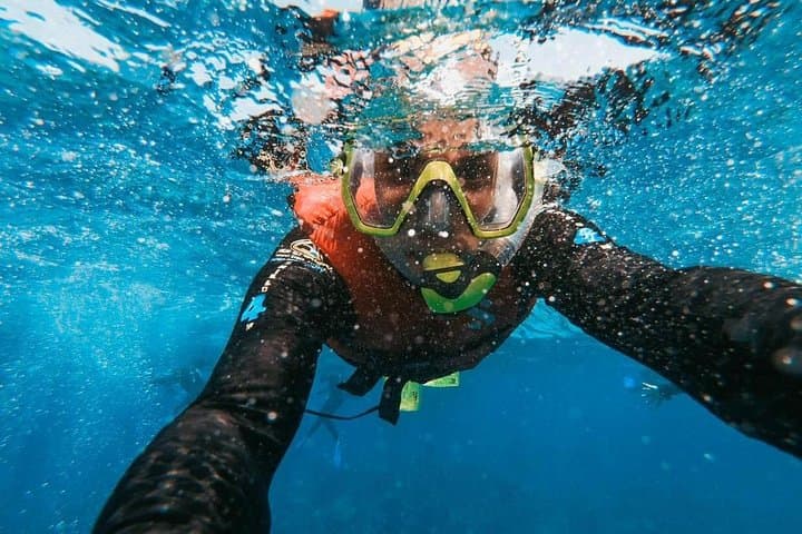 Snorkelling!