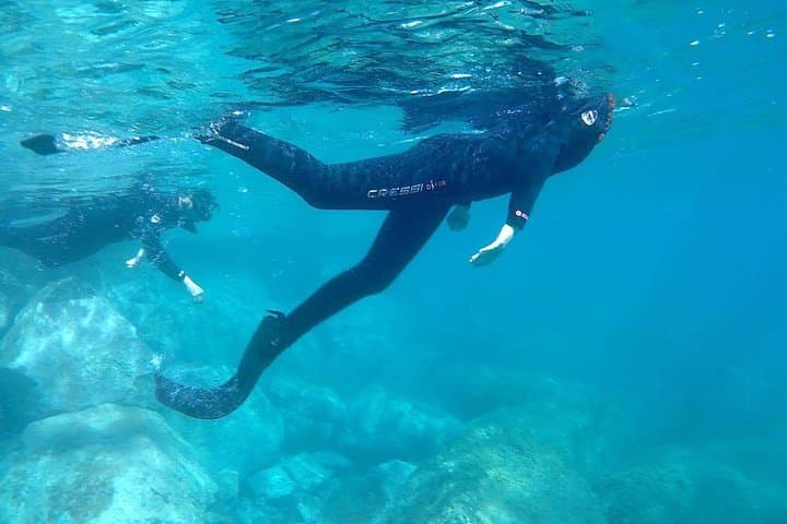 Professional CRESSI snorkeling equipment provided for all of our clients!