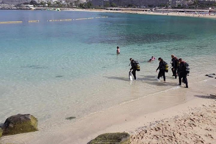 Discover Scuba diving in Gran Canaria with Hotel Pick-up