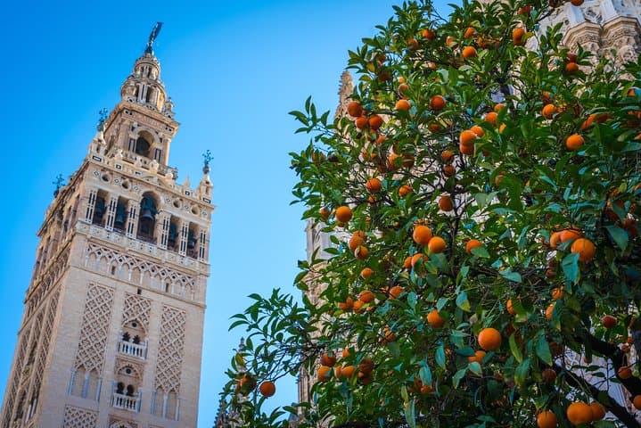 Highlights of Seville Walking Tour for Kids and Families