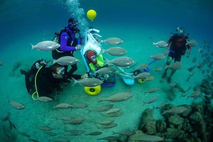 Sea Trek and Diving for handicaped people