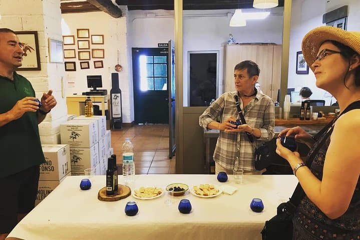 Olive Oil Tour and Visit to Belchite Old Town