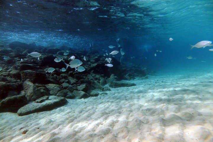 Discover Scuba Diving in Lanzarote (Costa Teguise)