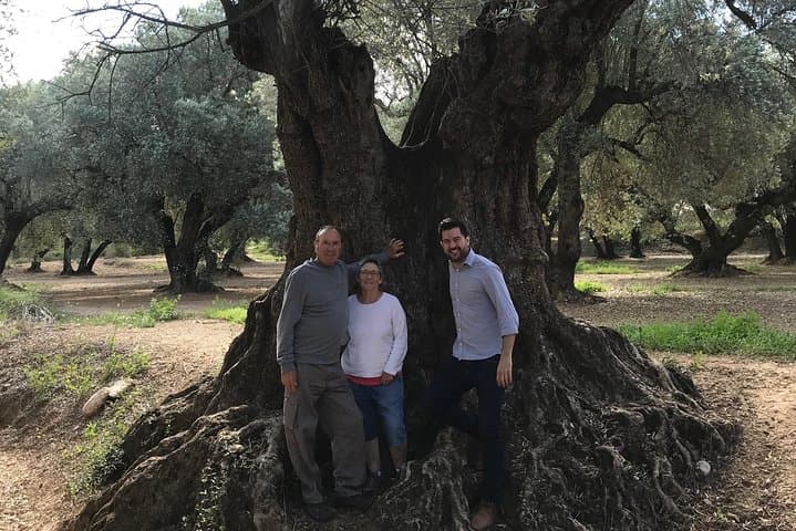 Olive Oil Tour and Visit to Belchite Old Town