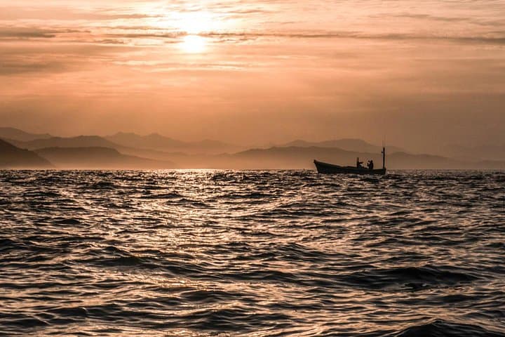 Coast, fish and txakoli wine