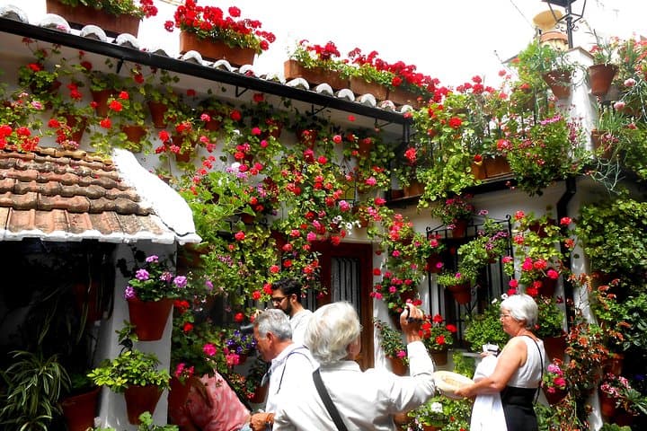 Discover the Patios de Córdoba: guided tour