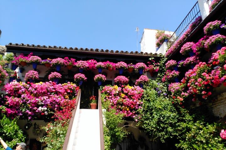 Discover the Patios de Córdoba: guided tour