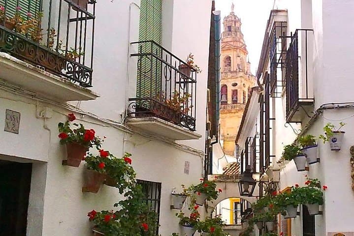 Guided Tour Jewish Quarter and Mosque-Cathedral of Córdoba with tickets