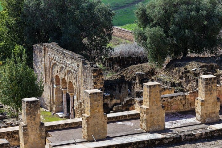 Guided visit to Medina Azahara