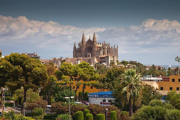 Private 4-hour tour of Palma de Mallorca with driver and guide