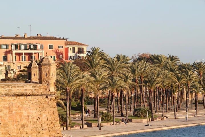 Private 4-hour tour of Palma de Mallorca with driver and guide