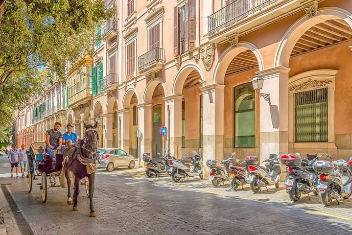Private 4-hour tour of Palma de Mallorca with driver and guide