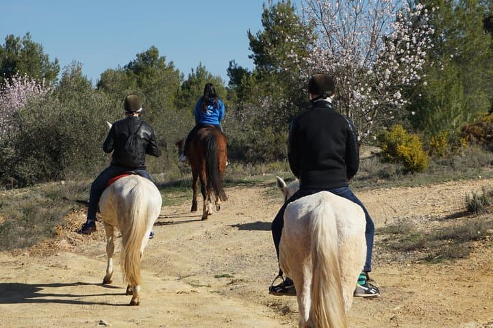 Horseback riding and wine tour (private tour)