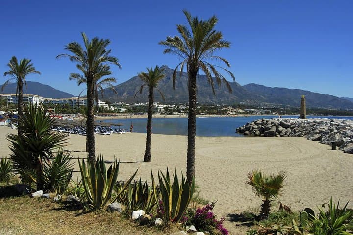 Private Transfer from Carchuna to Malaga (AGP) Airport