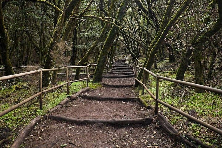 Garajonay National Park