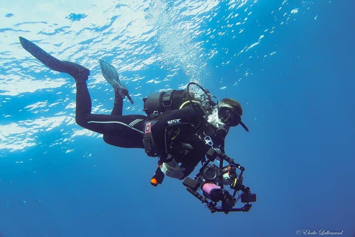 UNDERWATER PHOTOGRAPHY SPECIALITY - Improve your creativity and find your style