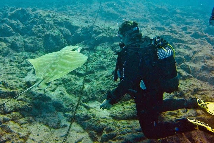 OPEN WATER CERTIFICATION - Become an autonomous diver up to 18m !