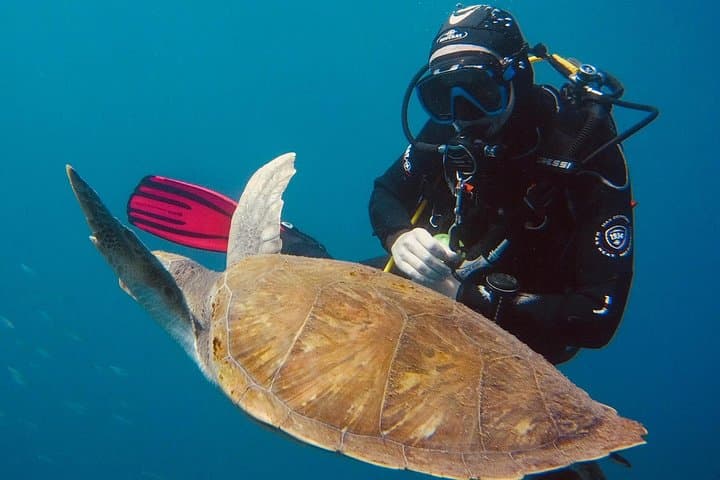 OPEN WATER CERTIFICATION - Become an autonomous diver up to 18m !