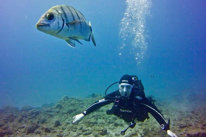 DISCOVER SCUBA DIVING - First step to your certification