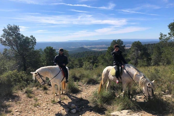 Horseback riding and wine tour (private tour)