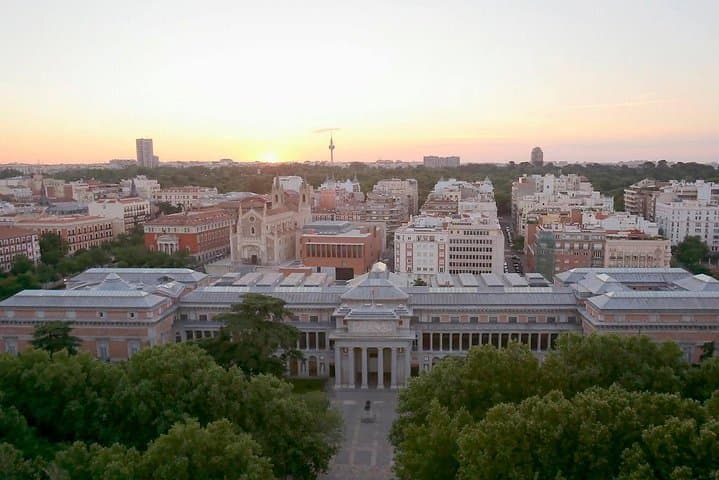 Prado Museum and Reina Sofia Museum Private Tour