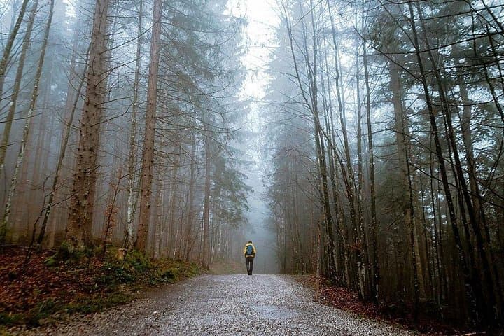 Private "Camino de Santiago" (The Way Of St. James) ORIGINAL WAY from Lugo