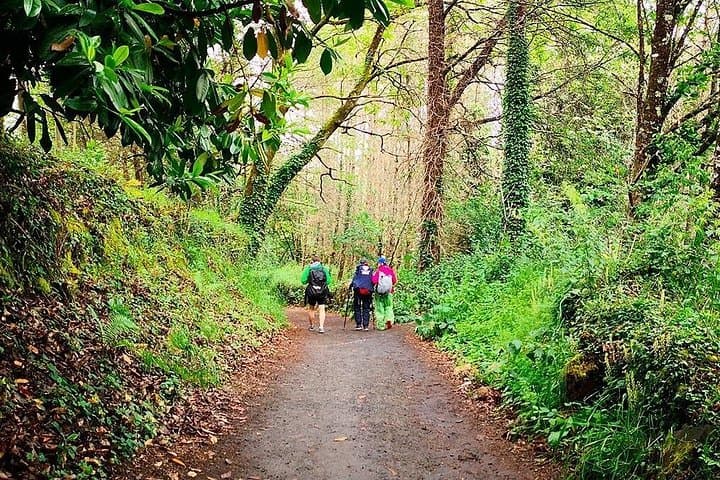 Private "Camino de Santiago" (The Way Of St. James) ORIGINAL WAY from Lugo