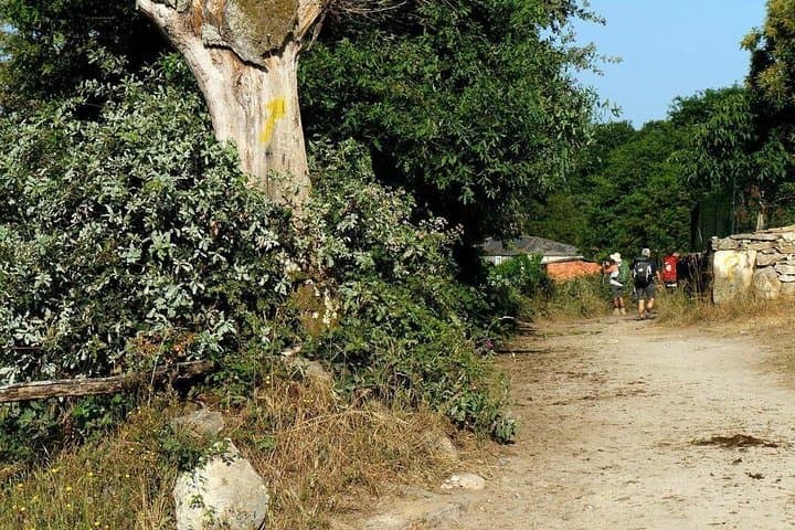 Private "Camino de Santiago"(The Way Of St. James) BY BIKE From Ponferrada