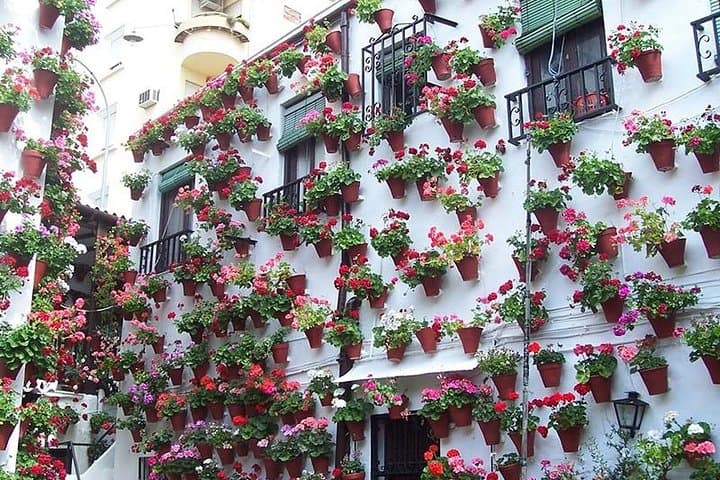 Cordoba private tour from Granada including the great Mosque