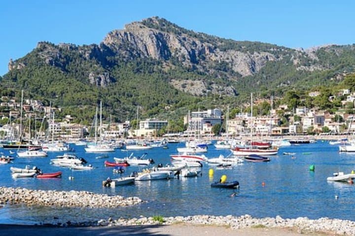 Mallorca Shore Excursion: Exclusive Soller and Valldemosa
