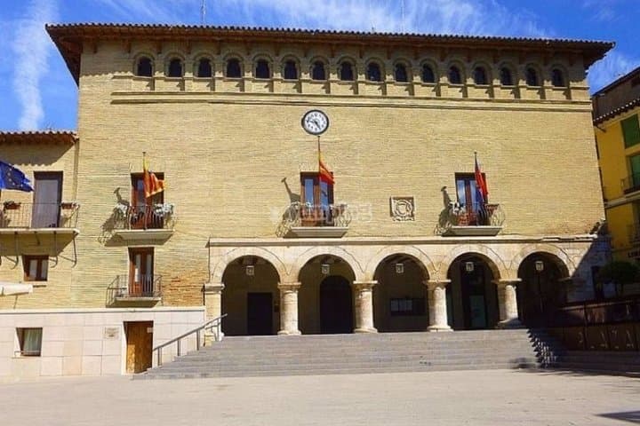 Guided tour of Monzón and the castle 3h.